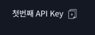 첫번째 API Key 옆 복사 아이콘